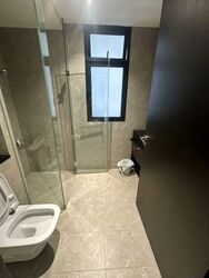 Park Colonial (D13), Condominium #577847791